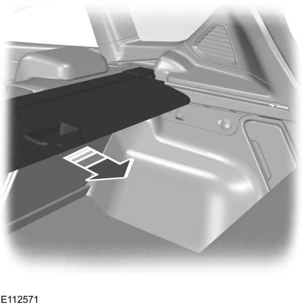 Image Shown Without Description