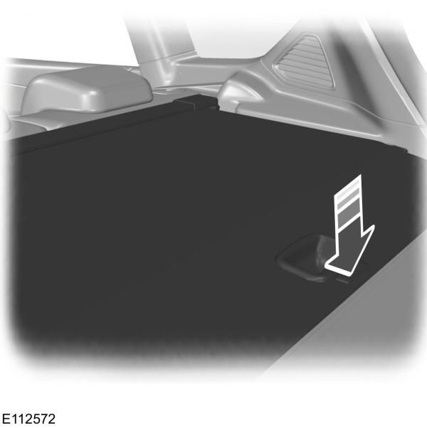 Image Shown Without Description