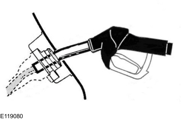 Image Shown Without Description