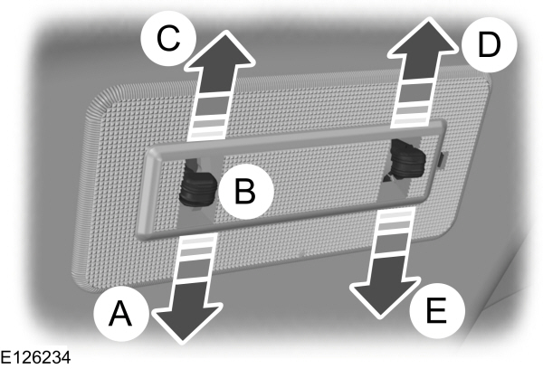 Image Shown Without Description