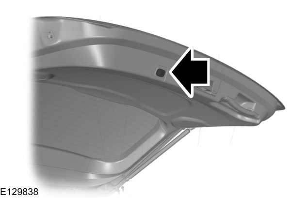 Image Shown Without Description