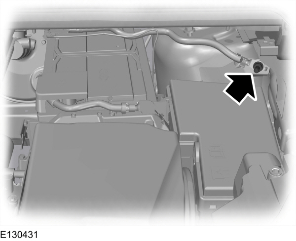 Image Shown Without Description