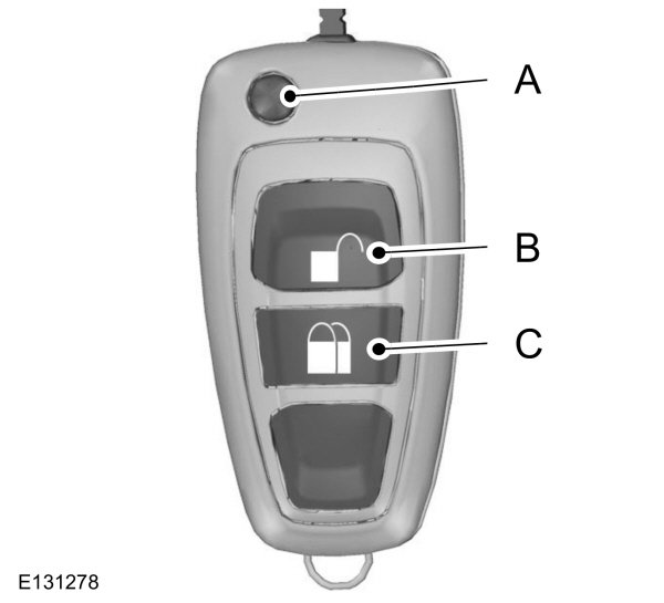 Image Shown Without Description