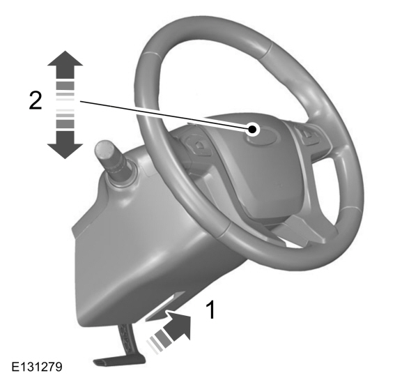 Image Shown Without Description
