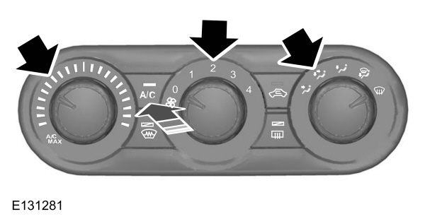 Image Shown Without Description