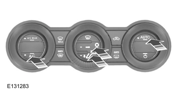 Image Shown Without Description