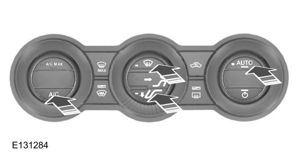 Image Shown Without Description