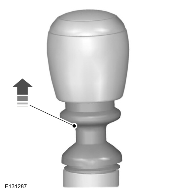 Image Shown Without Description