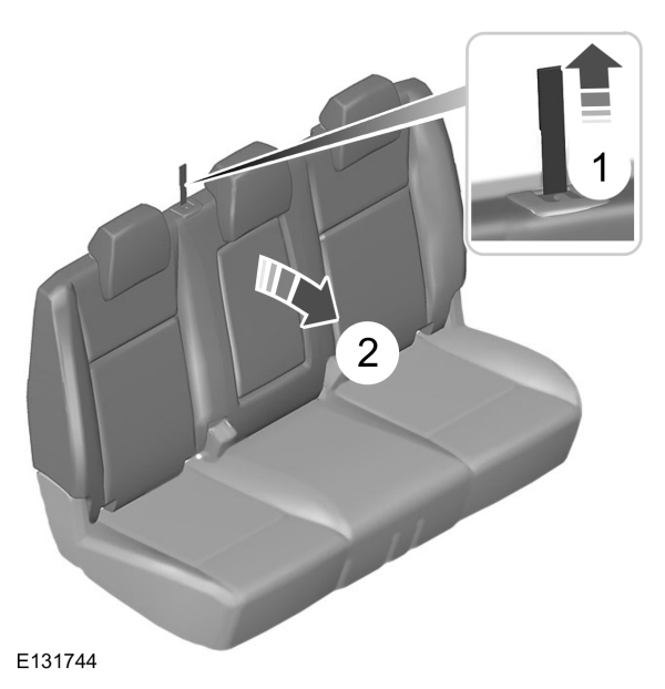 Image Shown Without Description