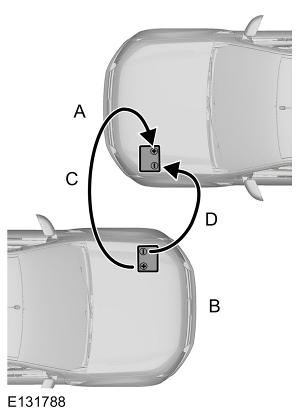Image Shown Without Description