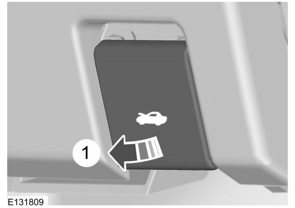 Image Shown Without Description