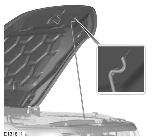Image Shown Without Description