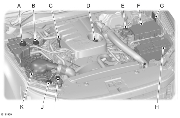 Image Shown Without Description