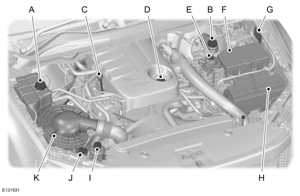 Image Shown Without Description