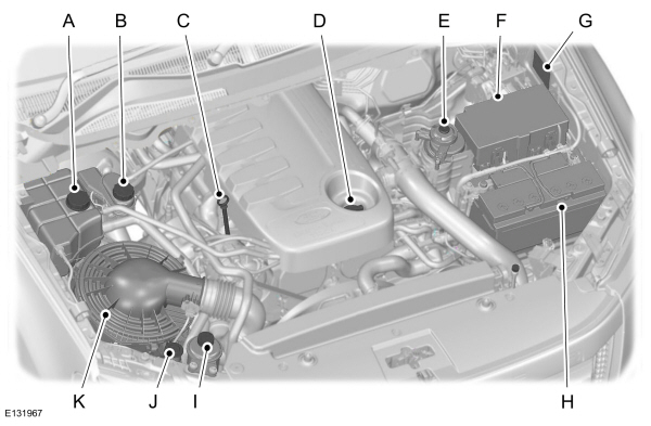 Image Shown Without Description