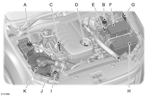 Image Shown Without Description