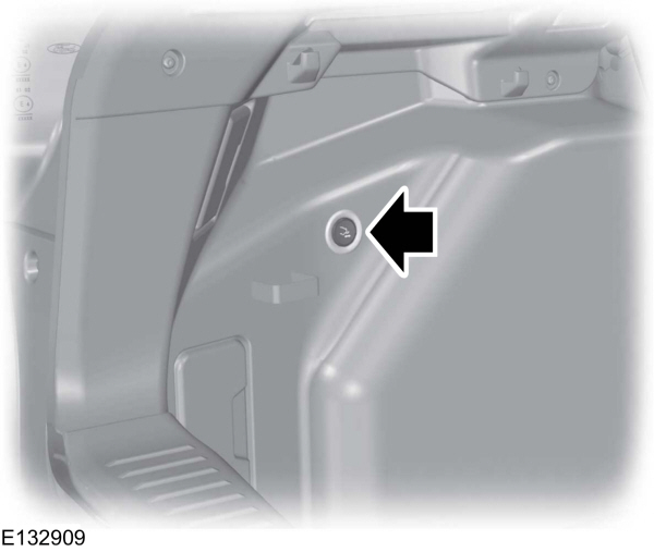 Image Shown Without Description