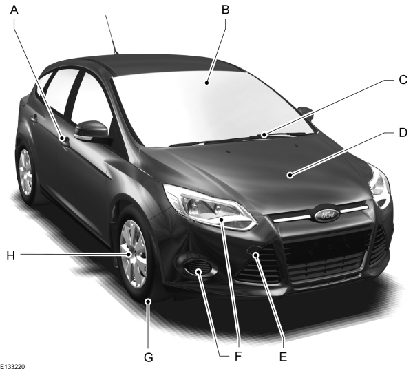 Image Shown Without Description