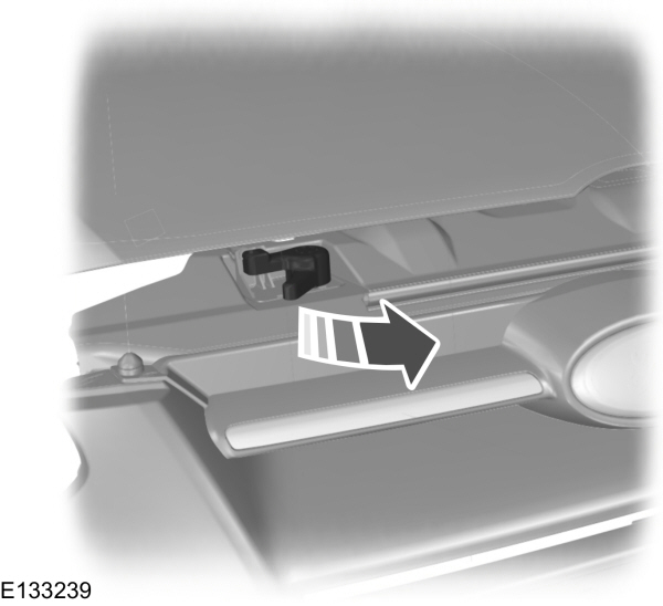 Image Shown Without Description