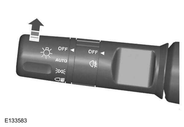 Image Shown Without Description