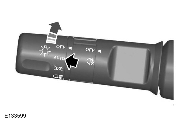 Image Shown Without Description