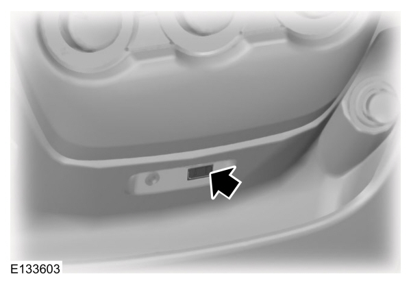 Image Shown Without Description