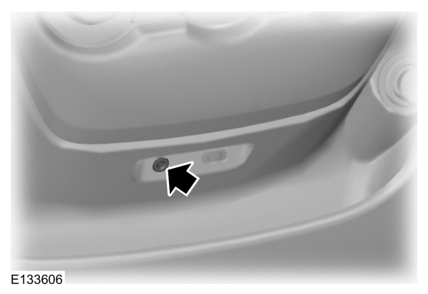 Image Shown Without Description