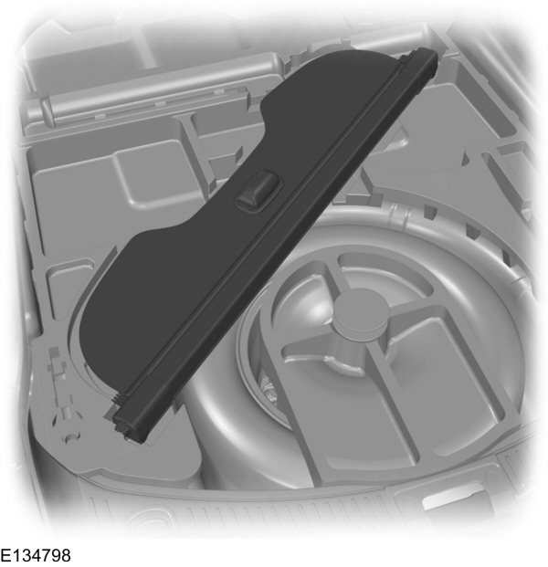 Image Shown Without Description