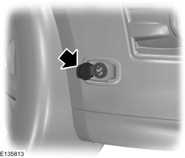 Image Shown Without Description