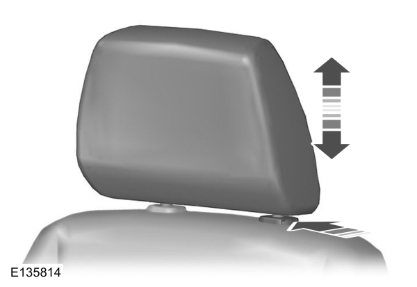 Image Shown Without Description