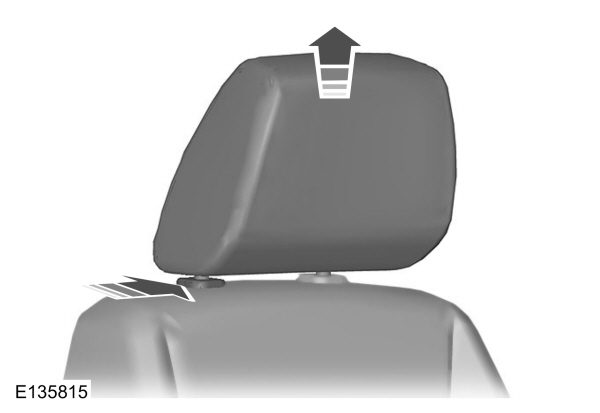 Image Shown Without Description