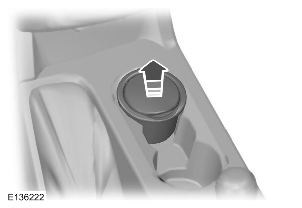 Image Shown Without Description