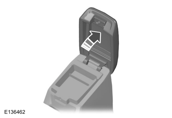 Image Shown Without Description