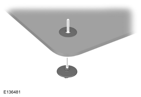 Image Shown Without Description