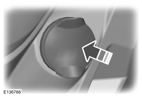 Image Shown Without Description