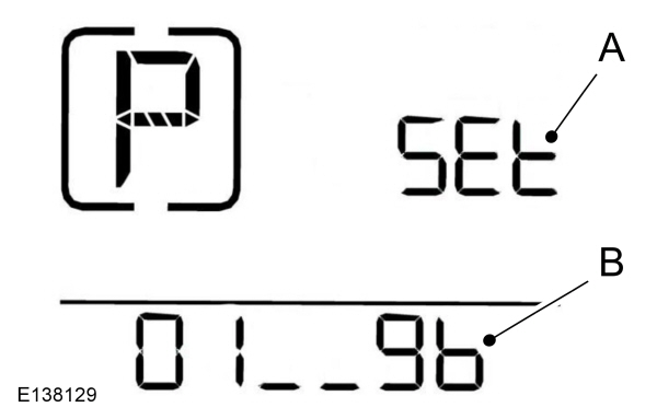 Image Shown Without Description