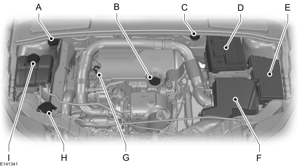 Image Shown Without Description