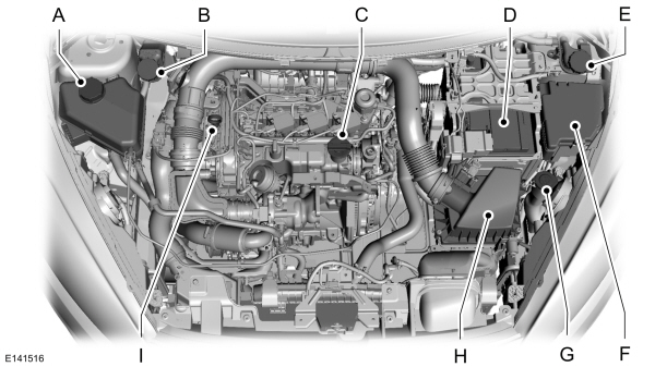 Image Shown Without Description