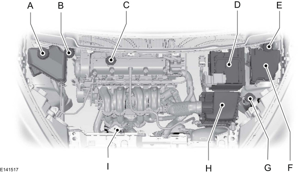 Image Shown Without Description