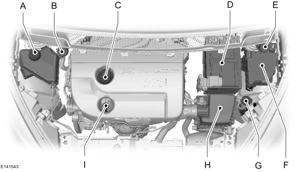 Image Shown Without Description