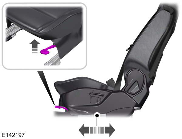 Image Shown Without Description