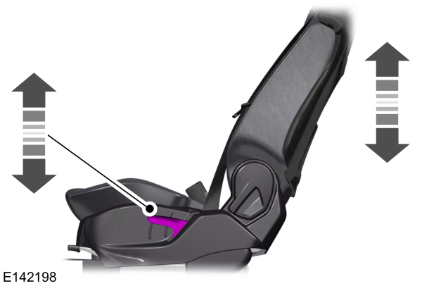 Image Shown Without Description