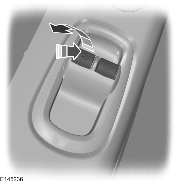 Image Shown Without Description