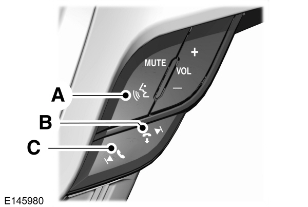 Steering Wheel Voice Controls