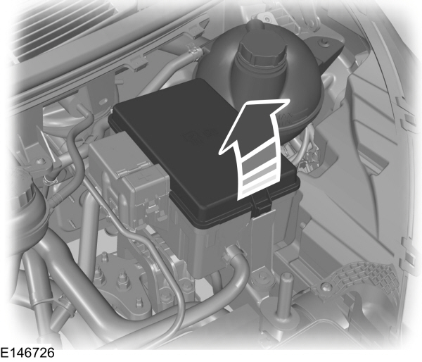 Image Shown Without Description