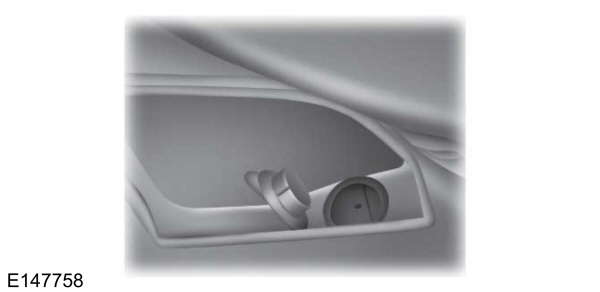 Image Shown Without Description