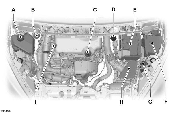 Image Shown Without Description