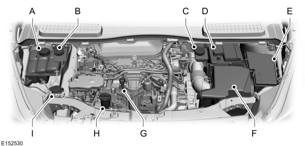 Image Shown Without Description