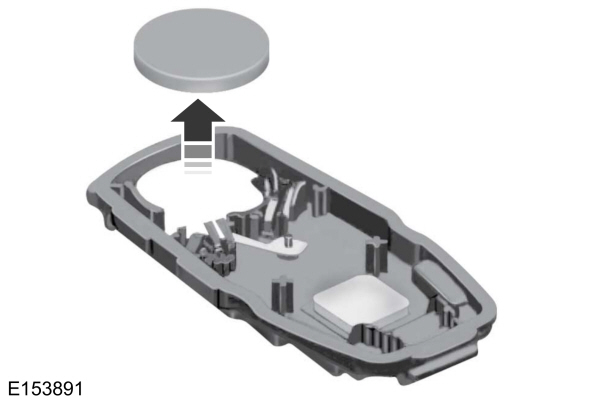 Image Shown Without Description