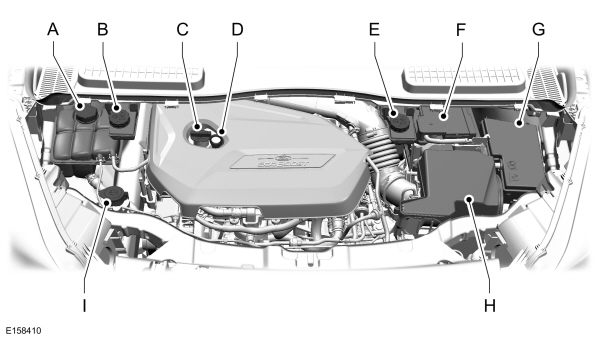 Image Shown Without Description